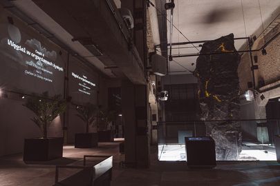 Wystawa węgla w carbonarium