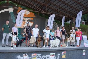 pieski z właścicielami na scenie