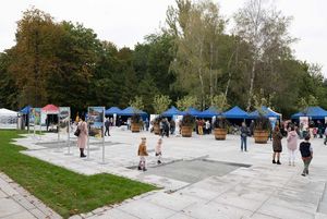 Widok na stoiska na Placu Zdrojowym.