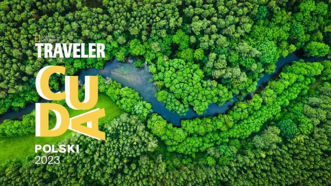 Grafika przedstawia logo plebiscytu Travelera