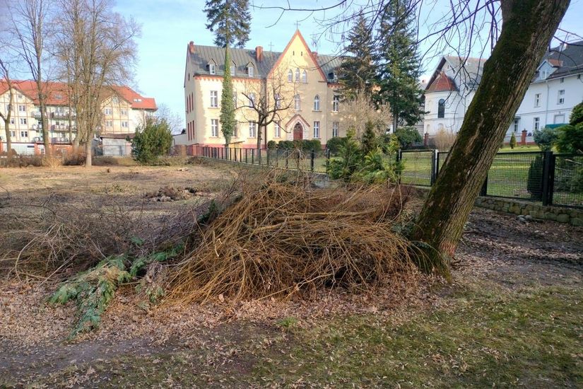 Zdjęcie przedstawia teren inwestycji - stan niezagospodarowany.