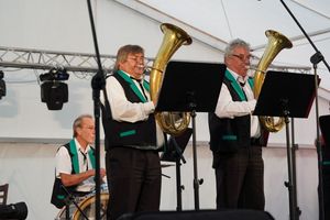 Mężczyźni grający na trąbach