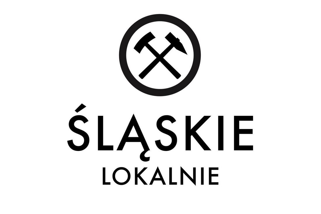 logo fio śląskie