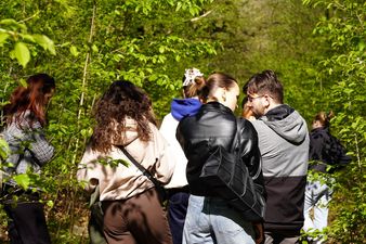 Studentki idące ścieżką między drzewami