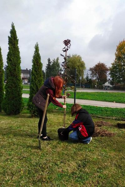 Zdjęcie przedstawia młode osoby, które sadzą drzewko.