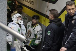 Zawodnicy czekają z wyjściem na lód.