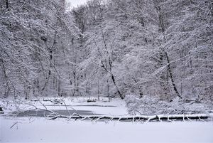 Zamarznięty staw na OWN-ie