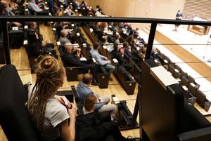 Publicznosć na koncercie