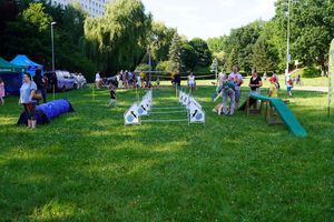 Tor treningowy dla psów