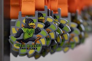 Zdjęcie przedstawia medale Biegu Małego Jastrząbka. 