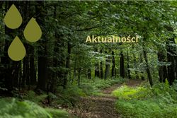 Aktualności 
