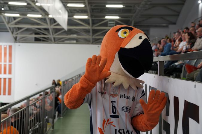 Mahająca do obiektywu maskotka Jastrząbka