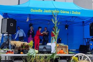 Zdjęcie przedstawia scenę dożynkową. 