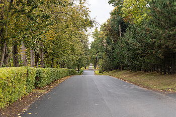 Nawierzchnia asfaltowa na ulicy Norwida