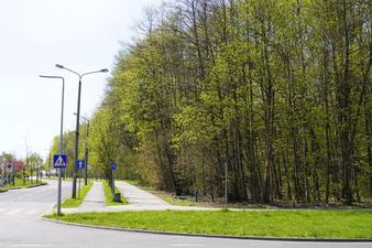 Widok na "Strefę Centrum"