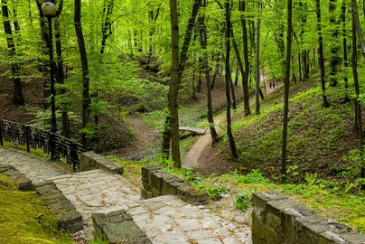 Alejki w parku zdrojowym