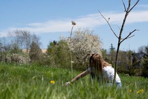 mieszkańcy miastasadzą drzewa
