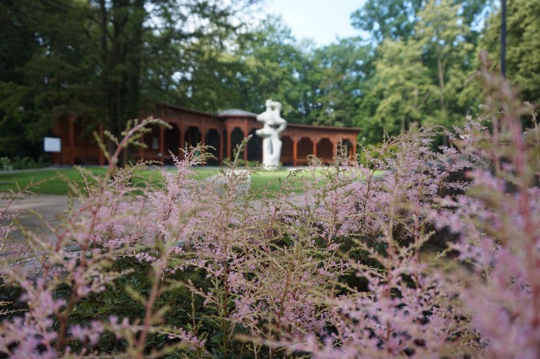 Park zdrojowy - widok na rzeźbę "Duet"