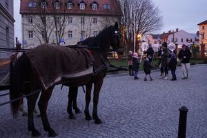 Zdjęcie przedstawia Orszak Trzech Króli.
