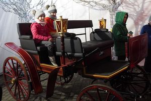 Zdjęcie przedstawia dzieci w bryczce.