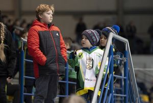 Kibice oglądają mecz.