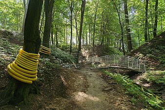 widok na Dolinę Mikołaja w Parku Zdrojowym