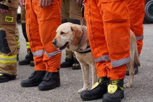 uroczystości związane z obchodami trzydziestolecia państwowej straży pożarnej w jastrzębiu-zdroju