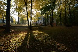 zegar kwiatowy, w tle Masnówka