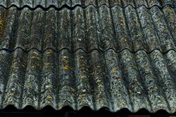 Azbest pokrywający zielony dach