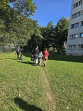 sprzątanie miasta