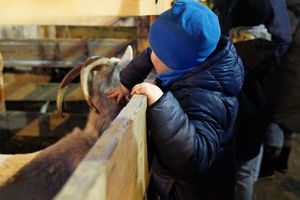 Zdjęcie przedstawia żywą szopkę.