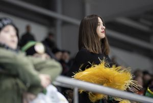 Kibice oglądają mecz.