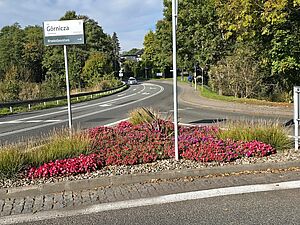 Nowe rośliny na skrzyżowaniu.