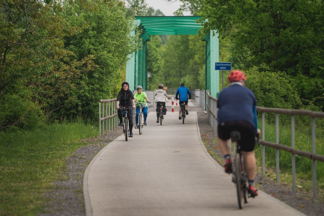 Zdjęcie przedstawia rowerzystów na szlaku rowerowym