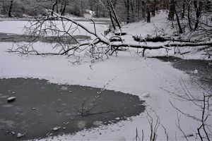 Zamarznięty staw na OWN-ie