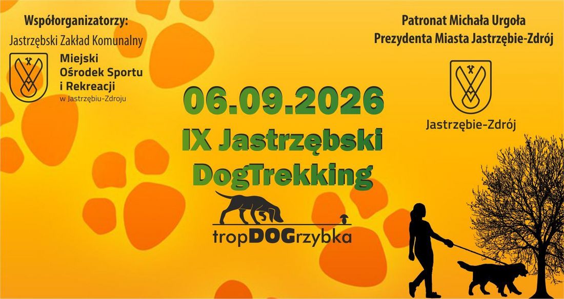 grafika ilustracyjna