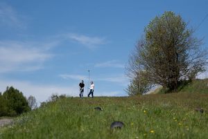 mieszkańcy miastasadzą drzewa