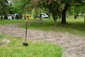 Świeżo przygotowane nasadzenia