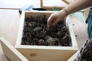 Budowa budki lęgowej