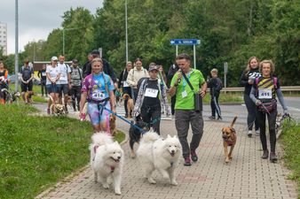 Grupa uczestników z psami maszeruje chodnikiem wzdłuż ulicy; na przedzie idą dwa białe samojedy oraz organizator z mikrofonem