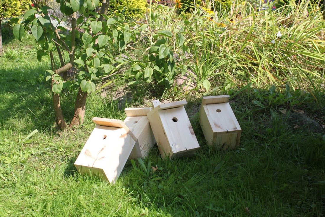 Domki dla ptaków leżące na trawniku