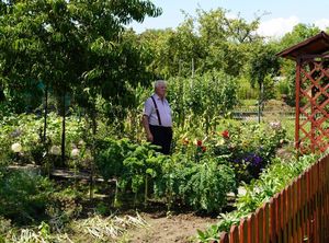 rodzinne ogródki działkowe