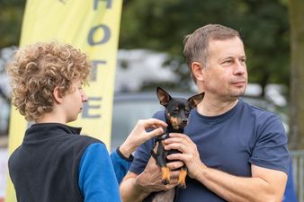 Mężczyzna w ciemnoniebieskim t-shircie trzyma na rękach małego, czarnego pieska rasy pinczer, podczas gdy nastolatek poprawia mu szelki