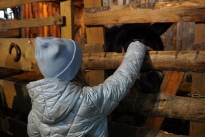 Zdjęcie przedstawia żywą szopkę.