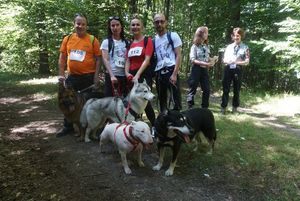 Zawodnicy biegnący z psami przez las