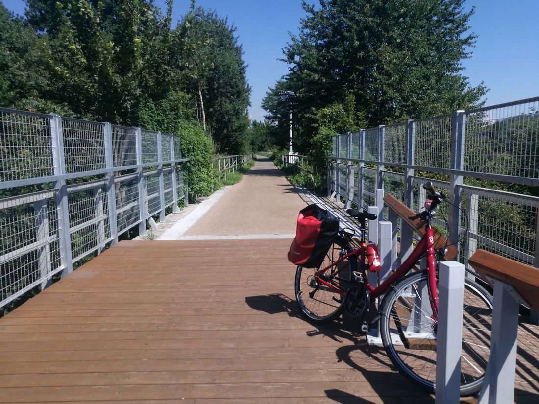 Rower stojący na trasie Żleaznego Szlaku Rowerowego