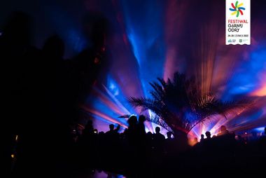 Zdjęcie z pokazu laserowego w parku.