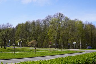 Widok na "Strefę Centrum" z dalszej perspektywy