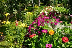 rodzinne ogródki działkowe