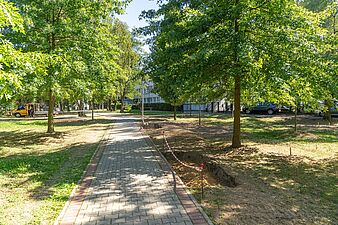 budowa skweru